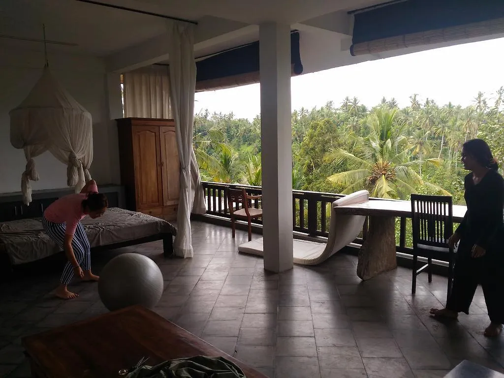 Guest house Punia'S Jungle Hotel Ubud