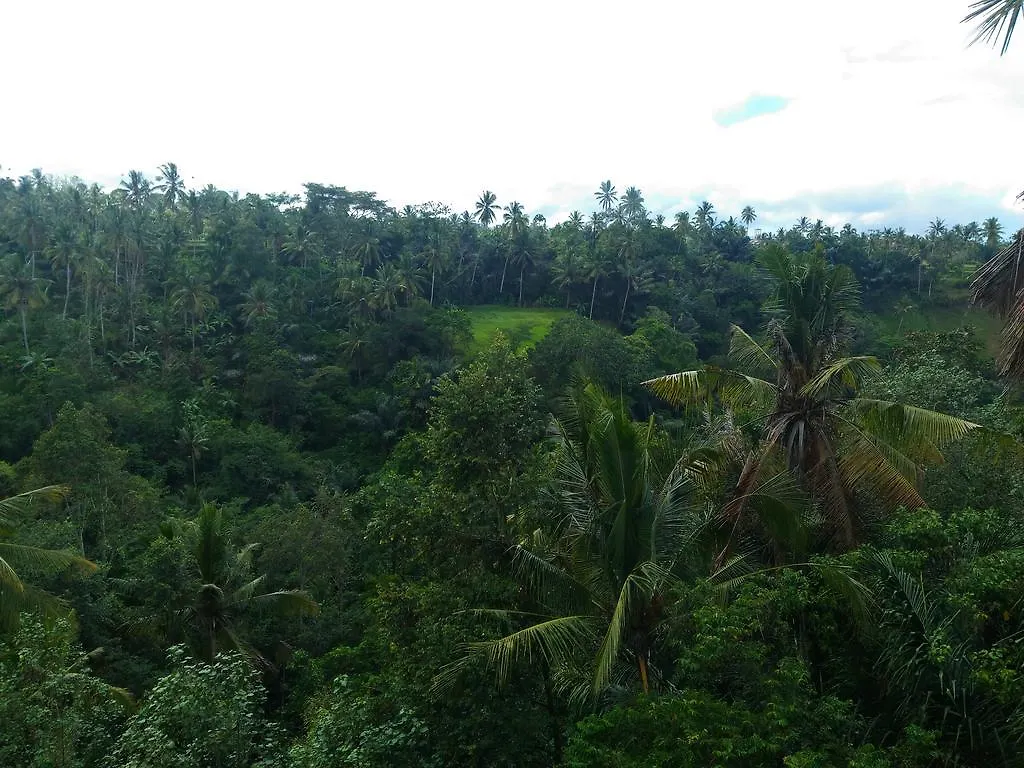 Punia'S Jungle Hotel Ubud  Guest house Ubud (Bali)