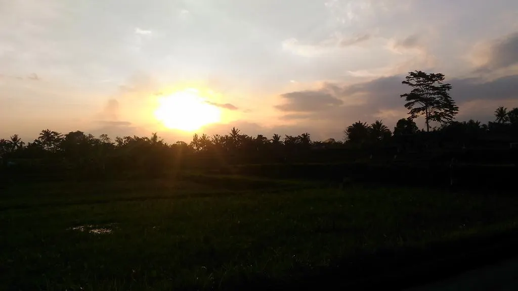Punia'S Jungle Hotel Ubud  0*, Ubud (Bali) Indonesia