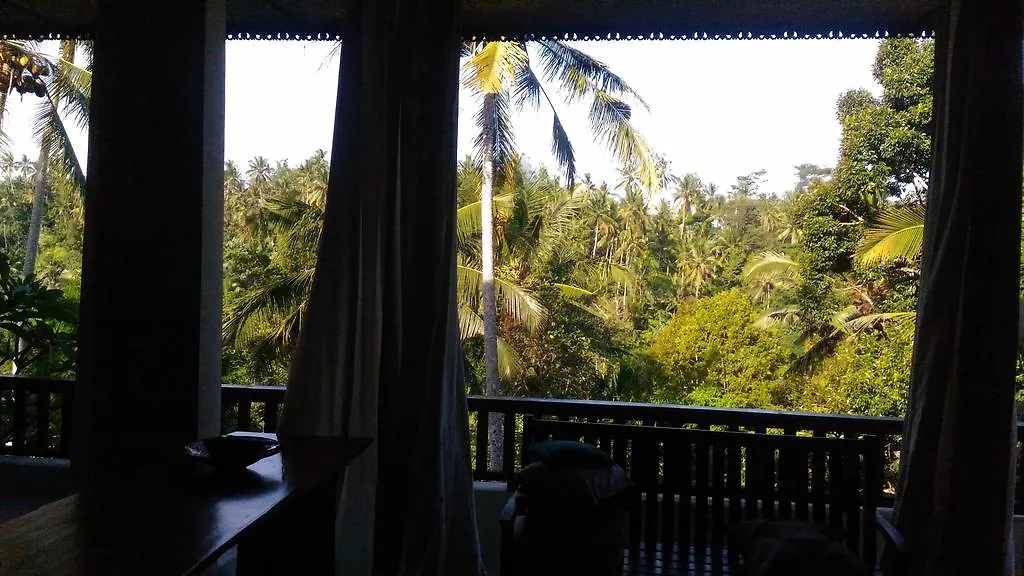 Guest house Punia'S Jungle Hotel Ubud  Indonesia