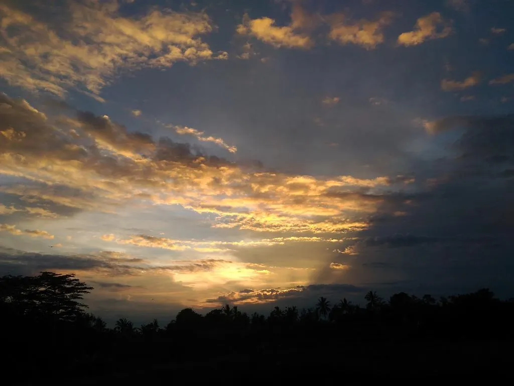 Guest house Punia'S Jungle Hotel Ubud  Indonesia